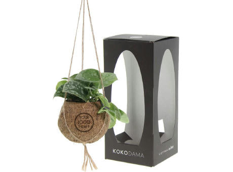 Kokodama® - Green mix (S)