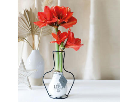 No Water Flowers® - Formz classic
