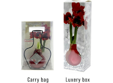 No Water Flowers® - Formz classic