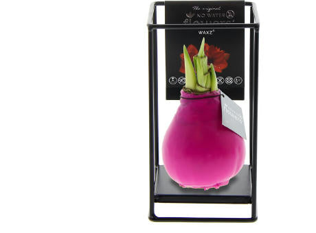 No Water Flowers® - Formz industrial
