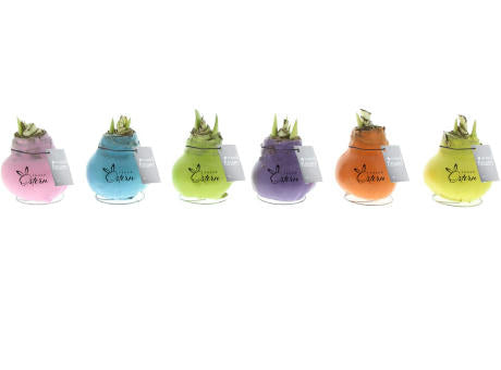 No Water Flowers® - Printz Frohe Ostern mix