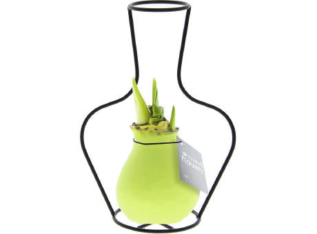 No Water Flowers® - Formz classic