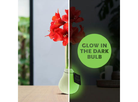 No Water Flowers® - Glowz