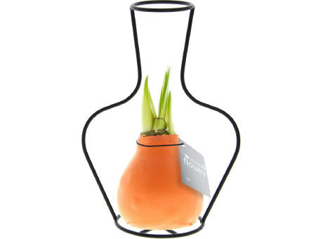 No Water Flowers® - Formz classic