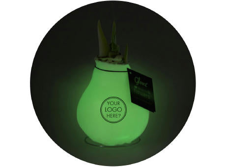 No Water Flowers® - Glowz