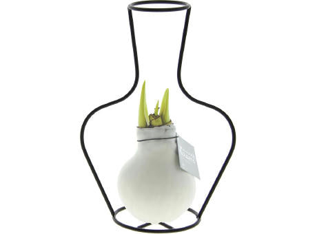 No Water Flowers® - Formz classic