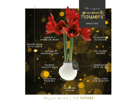 No Water Flowers® - Waxz® on golden dish