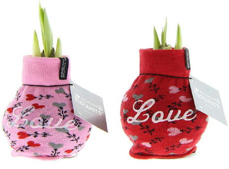 No Water Flowers® - Fashionz Love mix