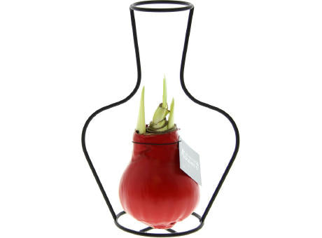 No Water Flowers® - Formz classic