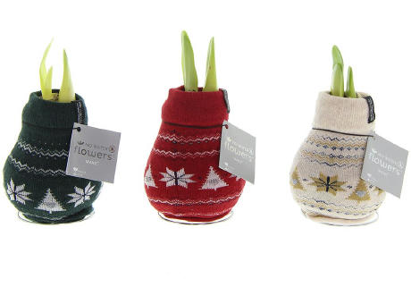 No Water Flowers® - Fashionz Nordic mix