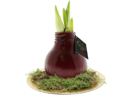 No Water Flowers® - Waxz® on golden dish