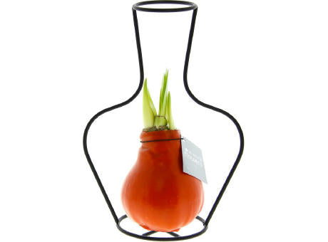 No Water Flowers® - Formz classic