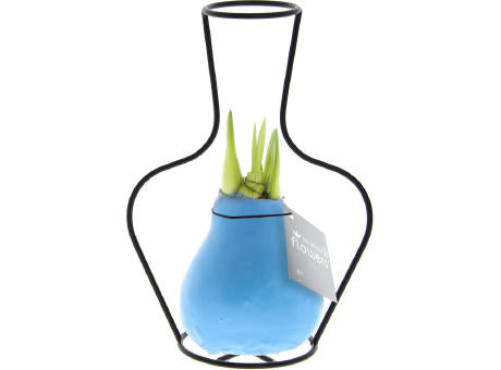 No Water Flowers® - Formz classic