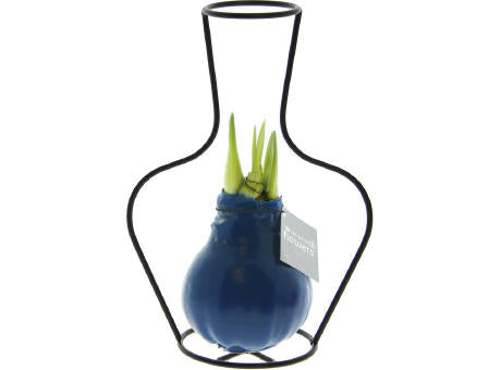 No Water Flowers® - Formz classic