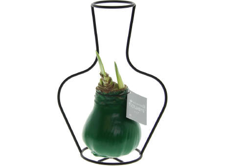 No Water Flowers® - Formz classic