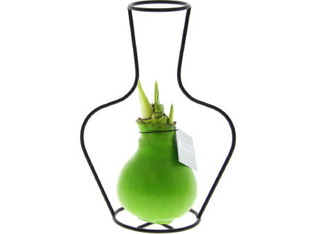 No Water Flowers® - Formz classic