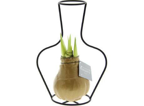 No Water Flowers® - Formz classic