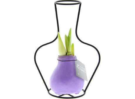 No Water Flowers® - Formz classic