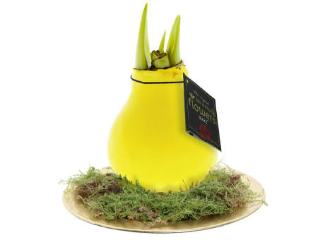No Water Flowers® - Waxz® on golden dish