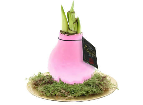 No Water Flowers® - Waxz® on golden dish