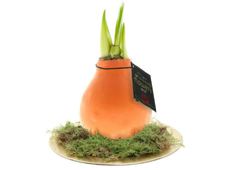 No Water Flowers® - Waxz® on golden dish
