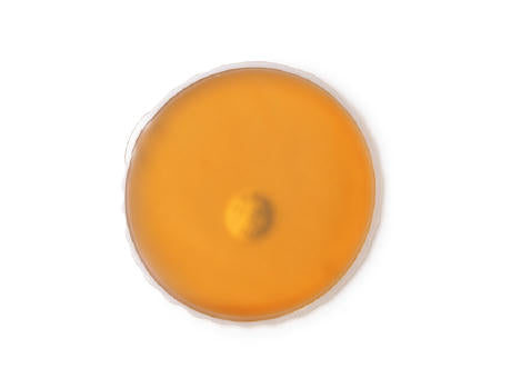 HEAT PACK WARMIX TRANSPARENT