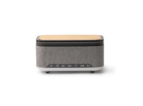 SPEAKER MORNIX HEATHER GREY