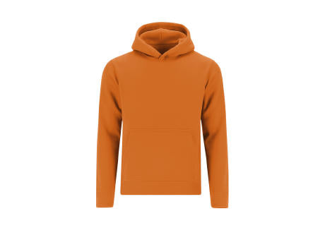 Kinder Sweatshirt Draco