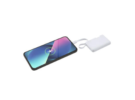 Power Bank Brandin