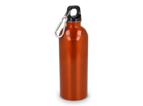 R-Edelstahl einwandige Flasche mit Karabiner 500 ml