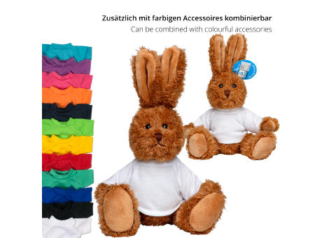 Hase Lina