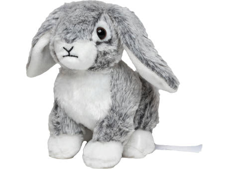 Hase Bettina