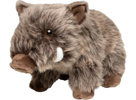 Wildschwein Nicolo