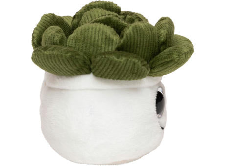 Schmoozies® Evergreenies® Sukkulente