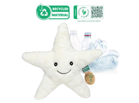 RecycelStern
