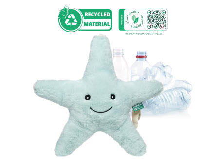 RecycelStern