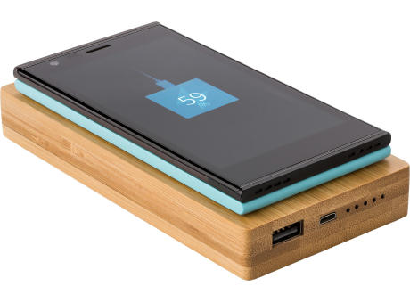 Bamboo power bank