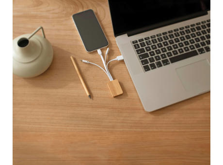 Ladekabel Brandan | 3-in-1