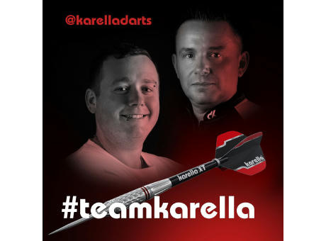 Dart Labor Dartboard „BULLOUT-SET INDIVIDUELL“ | inkl. 4c Druck auf ein Segment