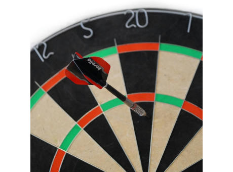 Dart Labor Dartboard „BULLOUT-SET INDIVIDUELL“ | inkl. 4c Druck auf ein Segment
