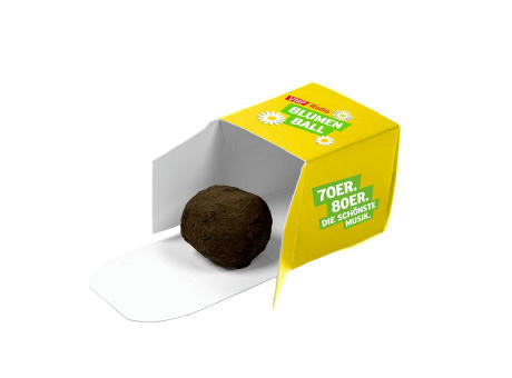 Flower-Balls in der Box mit Samen - 1er Box