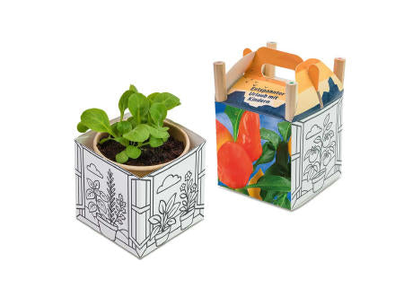 Color & Grow House - Ostern - Basilikum