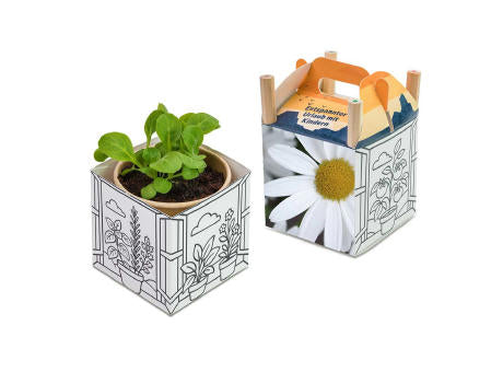 Color & Grow House - Ostern - Basilikum