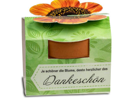 Tontöpfchen-Blume mit Samen - Petersilie