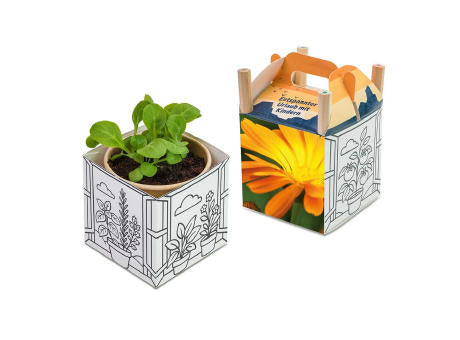 Color & Grow House - Ostern - Basilikum