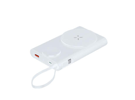 Power Bank Barian