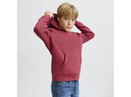 Kinder Sweatshirt Draco