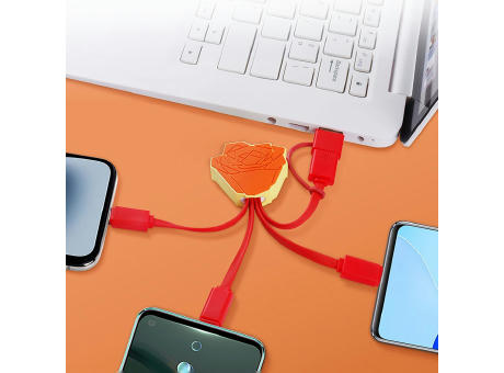 5 in 1 Ladekabel in Sonderform