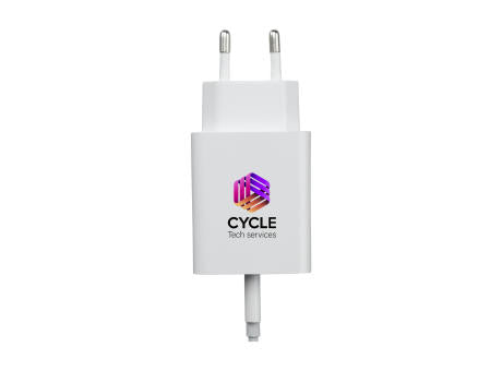 2-in-1 RCS Cable Charging Set Ladegerät-Set