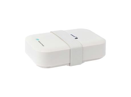 Amuse Classic Lunchbox Medium